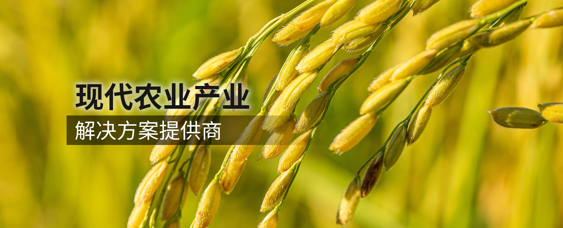 現代農業(yè)產業(yè)解決方案提供商